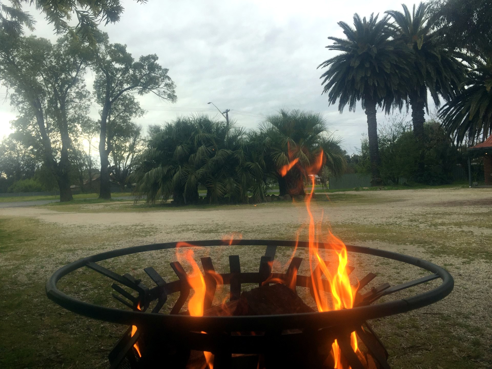 The wood fire pit burning among the palms and gums in the grounds of Jolly Swagman Motor Inn