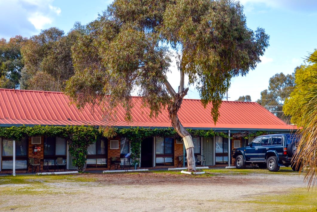 Vines over the front verandahs of the motel units